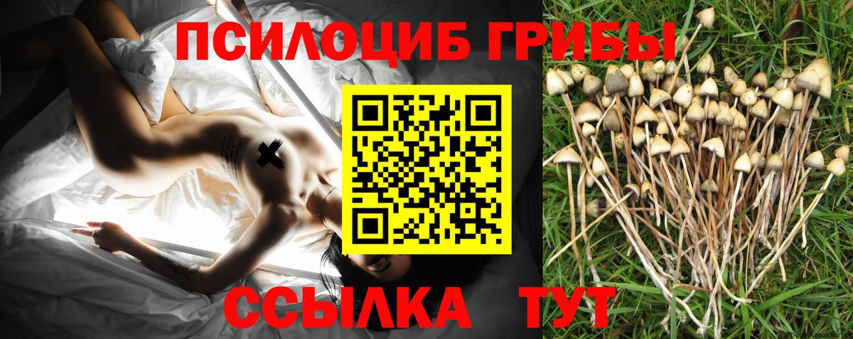 Богородицк  Галлюциногенные грибы ЛСД  Вход с VPN 
